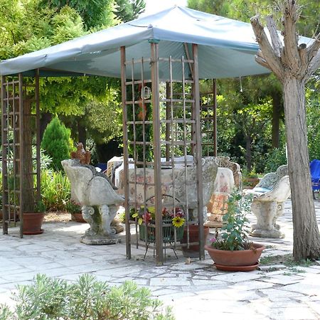 Bed&Breakfast Giardino Agritourist Controguerra Екстер'єр фото