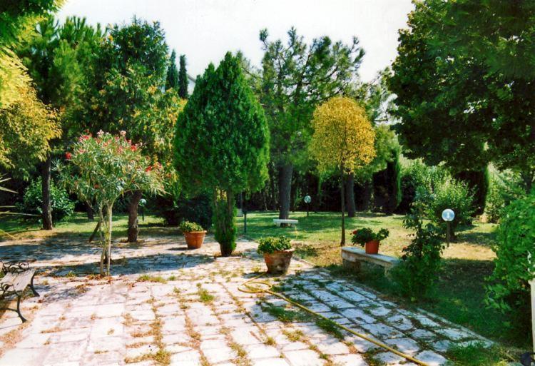 Bed&Breakfast Giardino Agritourist Controguerra Екстер'єр фото